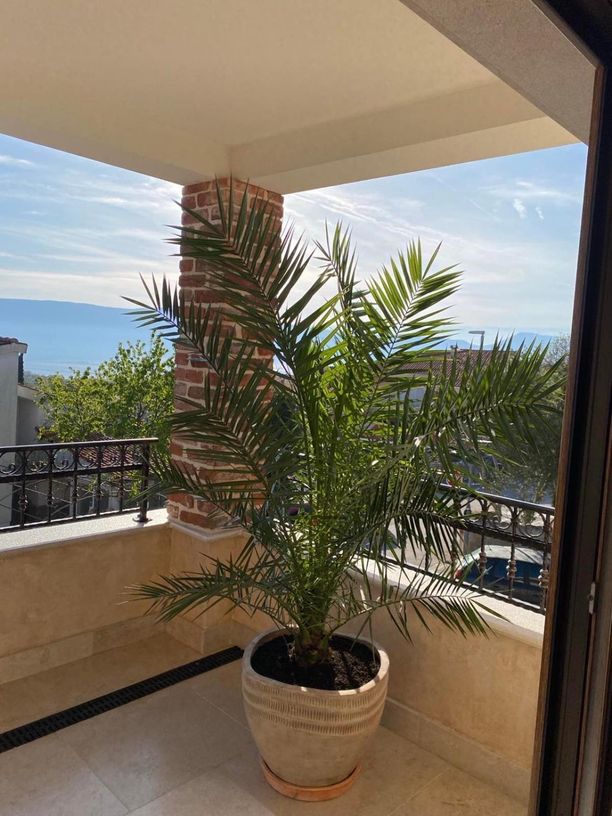 Pinezići Apartments Sanja מראה חיצוני תמונה